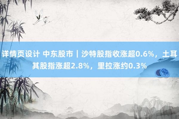 详情页设计 中东股市｜沙特股指收涨超0.6%，土耳其股指涨超2.8%，里拉涨约0.3%